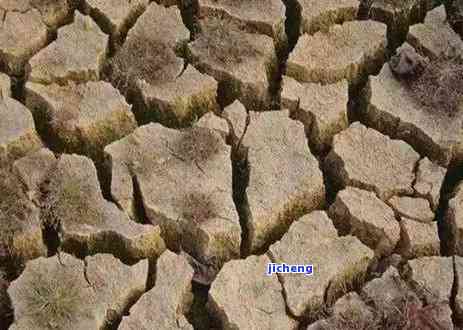 冲泡茶水的请求包含水质、水、茶叶量、浸泡时间等方面，具体请求有哪些？