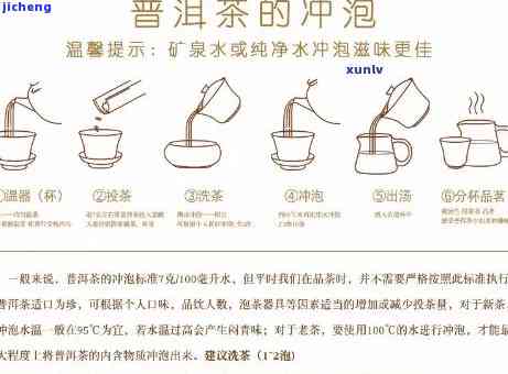 怎样绘制泡茶的十道流程图？详细步骤与图片解析