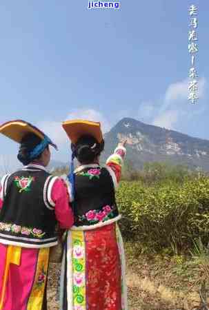 江油喝茶的地方哪里好玩，探寻江油茶香之旅：推荐几处值得一游的品茗胜地