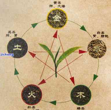 茶的五行养生，茶的五行养生：探索茶叶怎样调和身体与自然