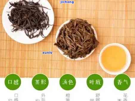 喝茶时喝哪种茶叶好？全面解析茶叶种类与口感