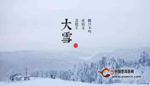 下雪喝茶的说说，冬日暖阳：下雪天最适合喝什么茶？