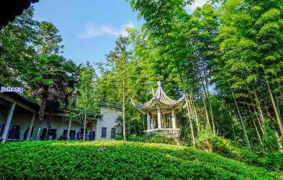 吉安市喝茶的地方，探索吉安市：品味当地茶香的好去处