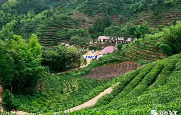 宜春喝茶的好地方：景点、好玩之处全在这！