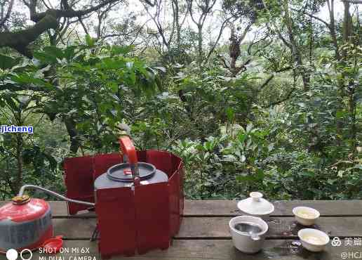 鼓岭喝茶的地方有哪些，探索鼓岭：那些不可错过的茶馆和品茗之地