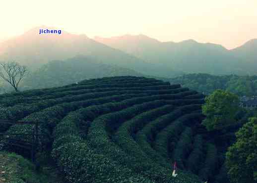 富阳喝茶的地方-富阳喝茶的地方有哪些