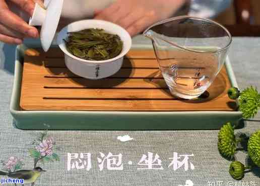 正确喝茶方法视频，茶叶专家教你正确喝茶方法，从选茶到泡茶一应俱全！