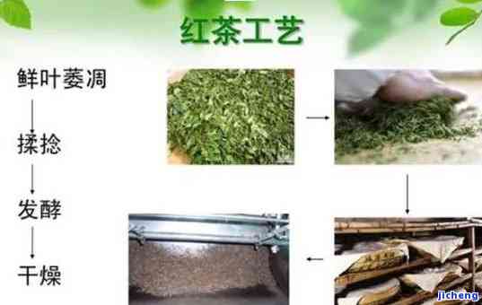 红茶的萎凋工艺是什么，探秘红茶制作工艺：熟悉萎凋环节的关键性