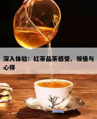 品尝红茶的感受与收获：心得体会与感悟