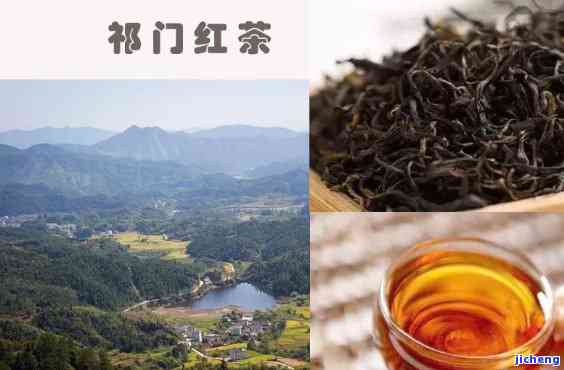 门红茶的介绍，探索世界茶文化：深入熟悉门红茶的魅力