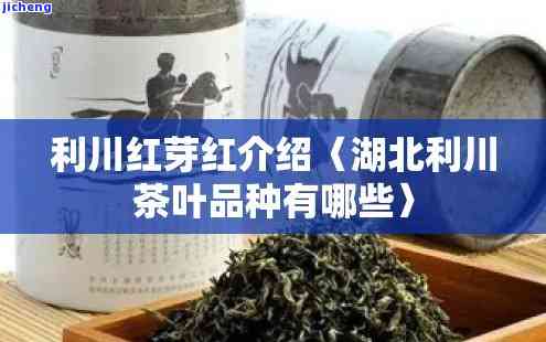 利川红茶品种大全及特点介绍，包含知名及红茶排名