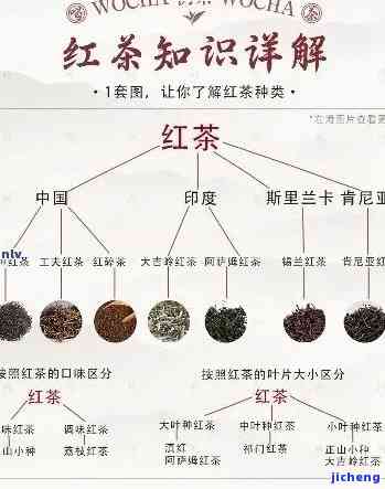 深入解析：红茶风味特点及其作用因素