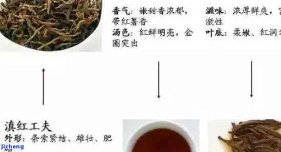 红茶的历典故-红茶的历典故有哪些