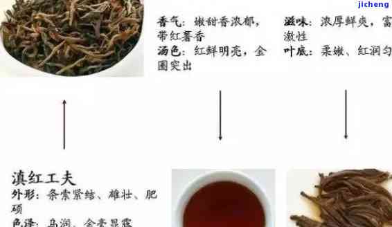 “红茶”，探索红茶的世界：历、品种和冲泡技巧