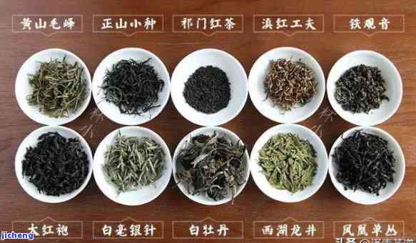 一粒一粒泡茶的：茶叶品种及冲泡方法全解析