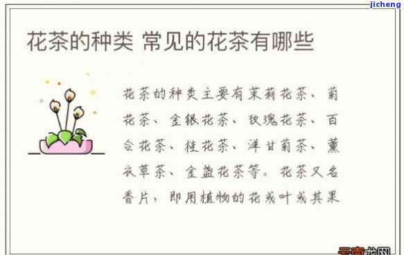 哪些花可以泡茶调查表：详细介绍适合泡茶、能泡茶、可泡花茶的花种及其图片和植物信息