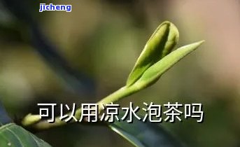 凉水能不能泡茶-凉水能不能泡茶叶