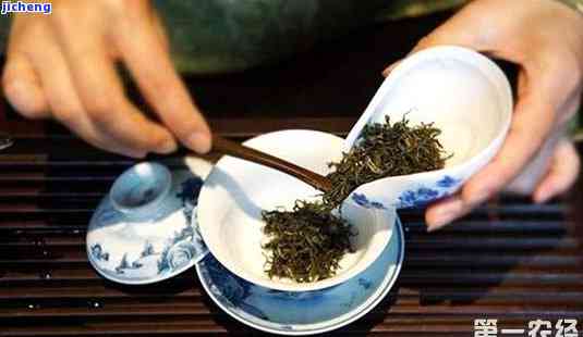 泡茶需要多少茶粉：一份详细的茶叶用量指南