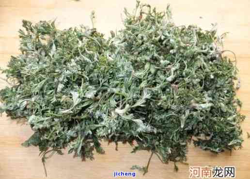 白蒿搭配什么泡茶喝，搭档！揭秘白蒿与什么一起泡茶最健？