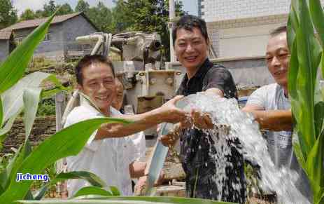 泡茶用哪种水好？比较不同水质对茶的作用