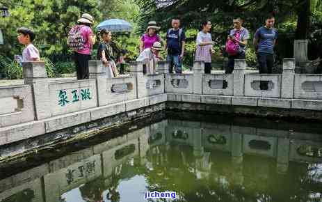 泡茶用什么水泡？详解茶叶与水质的关系