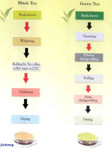 Step-by-step Guide to Making Red Tea: The English Process