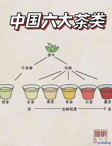 中国茶分几大类，探秘中国茶：熟悉其主要分类和特点-第6张图片-茶世界