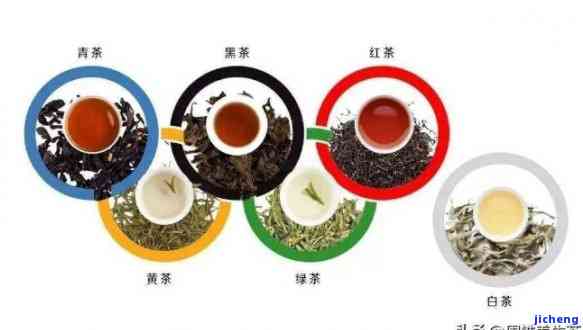 茶6大种类，探索世界茶文化：熟悉六大茶类的特点和区别