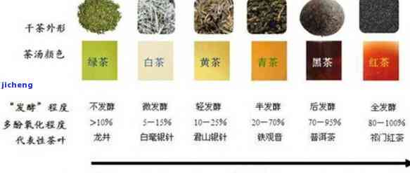 精制茶包含哪些种类？探究颗粒茶与不同类别茶的区别