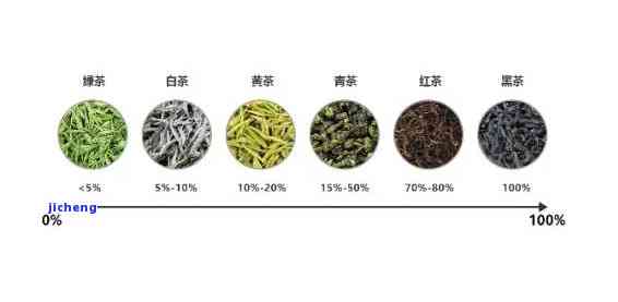 茶都分什么种类和品种？详解茶叶的分类与特点