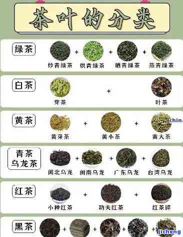 茶分为几大种类，探讨茶的分类：了解茶的几大主要类型