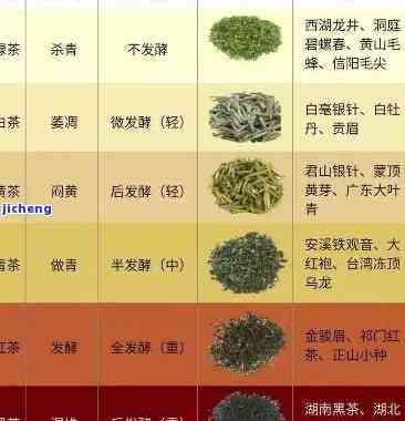 茶分为几大种类，探秘茶叶世界：熟悉茶的几种主要分类