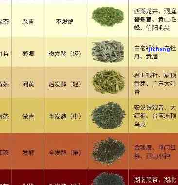 茶分为几大种类类型，探索茶叶的多样性：熟悉茶的几种主要分类