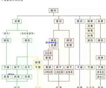 茶分为哪几种大类？从茶叶种类、制作工艺、地域分布等方面详细解析