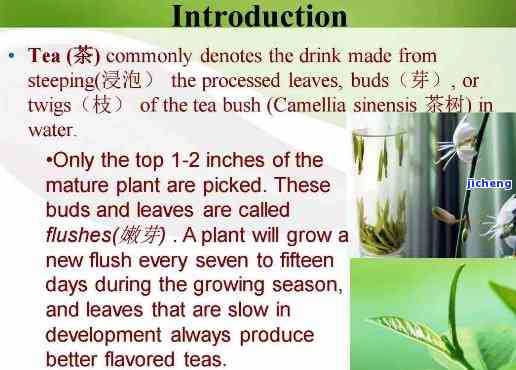 茶的起源和种类英语，The Origins and Kinds of Tea: A Comprehensive Overview