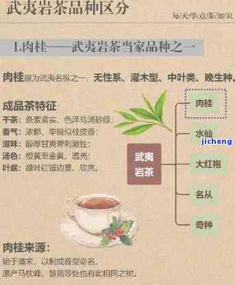 武夷山茶的种类介绍，探秘武夷山：揭秘各种名贵茶叶品种