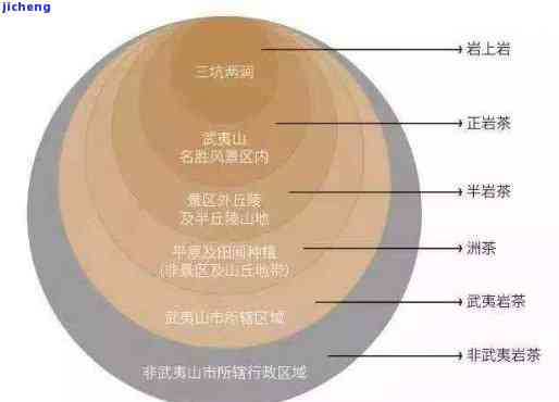 武夷山茶种类大全：详细介绍与图解