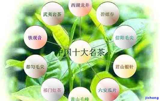 十大高山茶是什么？详解其品种、及排名情况。