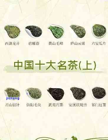 高山茶排名，揭秘高山茶排名，哪种口味更胜一筹？