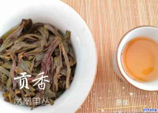 单丛茶十大名牌-单丛茶十大名牌排名