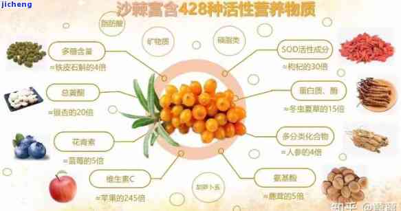 沙棘的十大功效与作用食用方法全解析：禁忌与视频教学