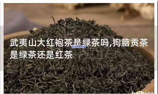 狗脑贡茶是绿茶还是红茶，解析谜团：狗脑贡茶究竟是绿茶还是红茶？