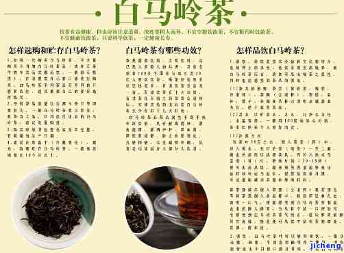 白马骏红茶：价格、功效与作用全解析