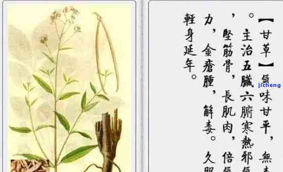 本草纲目黄金的药用价值-本草纲目黄金的药用价值是什么