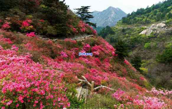 麻城云雾山风景区，探秘中国湖北麻城云雾山风景区：神秘自然景观的绝佳旅游目的地