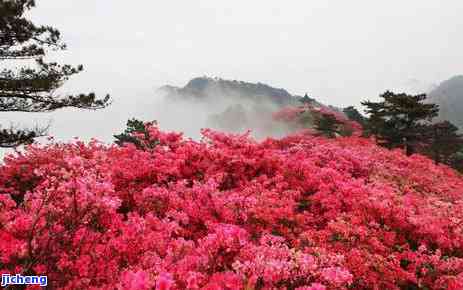 麻城云雾山风景区，探秘中国湖北麻城云雾山风景区：神秘自然景观的绝佳旅游目的地