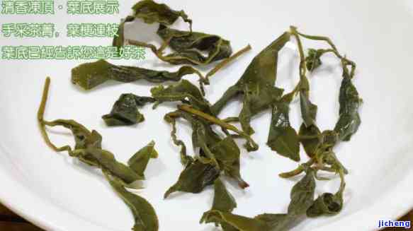 冻顶茶价格-的冻顶茶