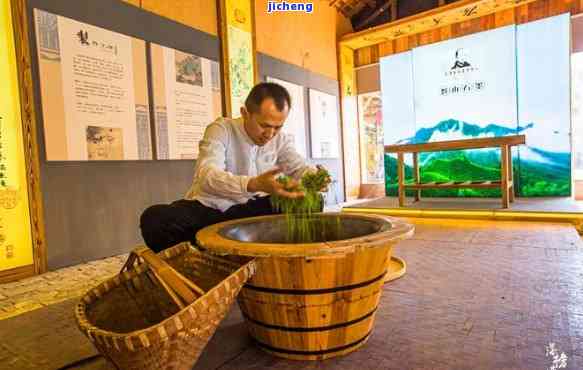 武夷山泽悟茶厂，探索自然之韵：探访武夷山泽悟茶厂