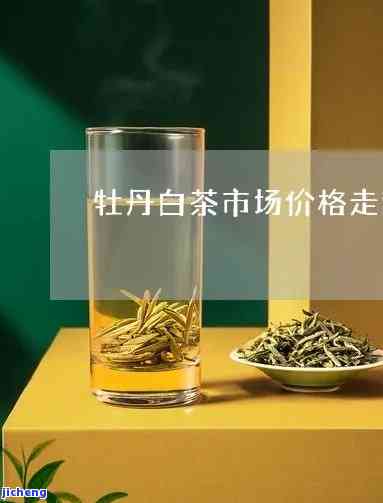 牡丹新茶价格，最新报价：牡丹新茶市场价格一览