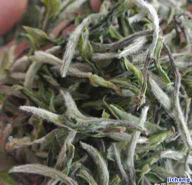 牡丹新茶价格，最新报价：牡丹新茶市场价格一览